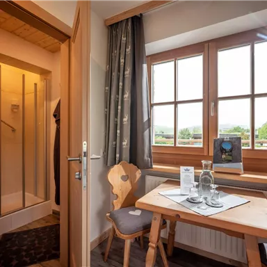 Ein gemütlicher Raum mit einem Esstisch, Stühlen und großen Fenstern. Im Hintergrund befindet sich eine Dusche.