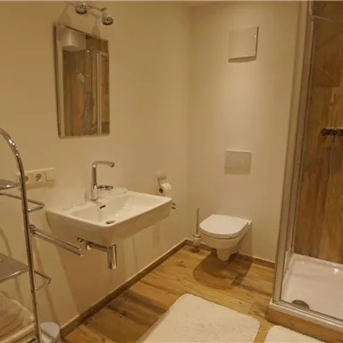 Ein modernes Badezimmer mit einer Dusche, einem Waschbecken und einer Toilette. Der Boden ist aus Holz, und es gibt Handtücher auf einem Regal.