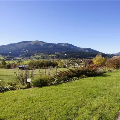 Eine malerische Landschaft mit grünen Wiesen und Bergen im Hintergrund. Der Himmel ist klar und sonnig.