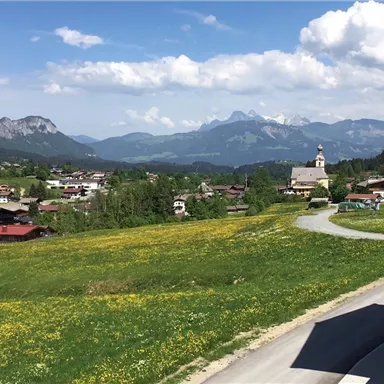 Eine malerische Landschaft mit grünen Wiesen und bunten Blumen. Im Hintergrund erheben sich majestätische Berge und ein kleines Dorf mit einer Kirche.