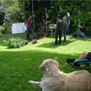 Eine Gruppe von Menschen arbeitet im Garten an einem Filmset. Im Vordergrund liegt ein Hund entspannt auf dem Rasen.