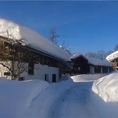 Eine verschneite Landschaft mit traditionellen Holzhäusern. Der Himmel ist klar und blau, und der Weg ist gut sichtbar.