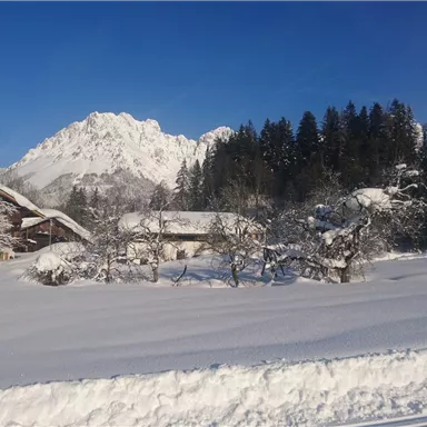 Eine winterliche Landschaft mit schneebedeckten Feldern und Bergen im Hintergrund. Im Vordergrund steht ein traditionelles Holzhaus umgeben von schneebedeckten Bäumen.
