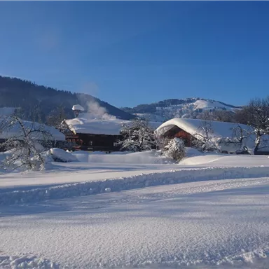 Eine verschneite Landschaft mit schneebedeckten Häusern und Bergen im Hintergrund. Der Himmel ist klar und blau.