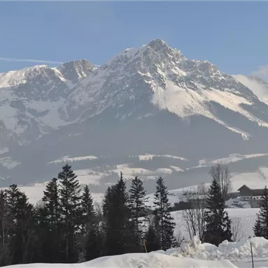 Eine beeindruckende Berglandschaft mit schneebedeckten Gipfeln und klarem Himmel. Im Vordergrund stehen Nadelbäume und eine ländliche Siedlung.