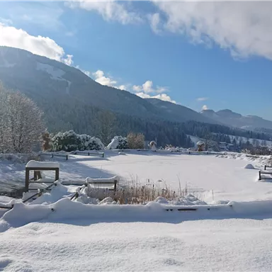 A snowy landscape with mountains in the background and a bright blue sky. The frozen pond is surrounded by snow-covered plants.