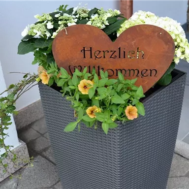 Ein blühender Blumenkübel mit einem herzförmigen Schild, auf dem "Herzlich Willkommen" steht. Die Pflanzen sind grün und farbenfroh, was eine einladende Atmosphäre schafft.