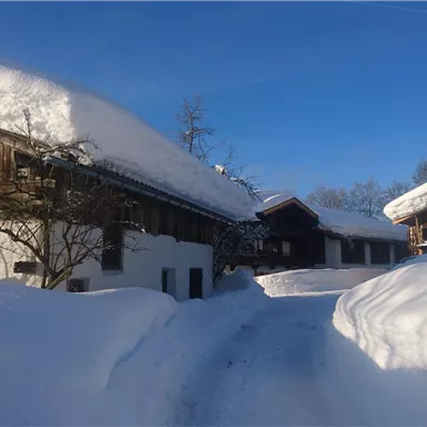 A snowy landscape with traditional wooden houses. The sky is clear and blue, and the path is clearly visible.