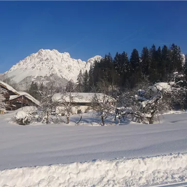 A winter landscape with snow-covered fields and mountains in the background. In the foreground stands a traditional wooden house surrounded by snow-covered trees.