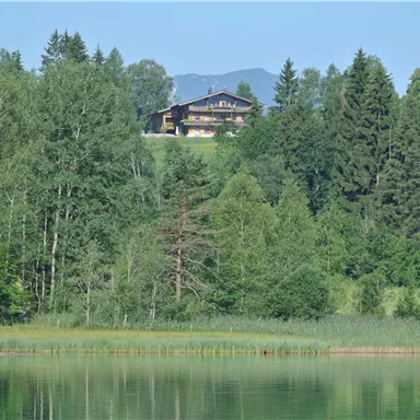 A quiet lake surrounded by dense forests and gentle hills. In the background, a picturesque house can be seen.
