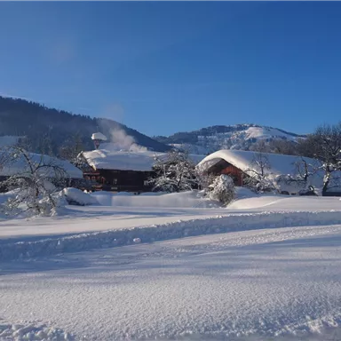 A snowy landscape with snow-covered houses and mountains in the background. The sky is clear and blue.