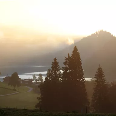 A picturesque landscape with fog and mountains in the background. In the foreground, there are trees and a tranquil lake.