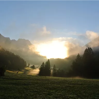A picturesque valley in morning light with fog and mountains in the background. The sun rises behind the mountains and brightens the landscape.