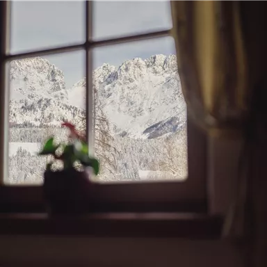 Ein Blick aus einem Fenster auf schneebedeckte Berge. Im Vordergrund steht eine kleine Pflanze auf der Fensterbank.