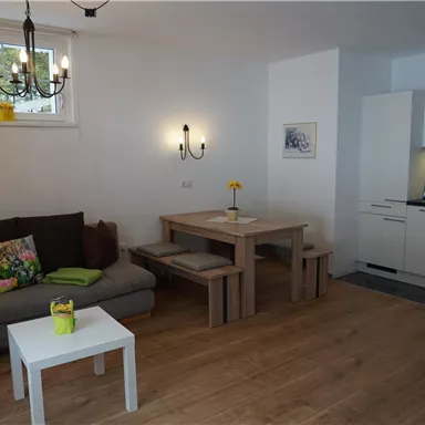 A modern living room with a cozy sofa and a wooden table. The kitchen is open and well equipped.
