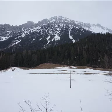 A snow-covered landscape with mountains in the background. The sky is gray and overcast.