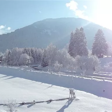 A winter landscape with snow-covered mountains and trees. The sun shines brightly over the snowy area.