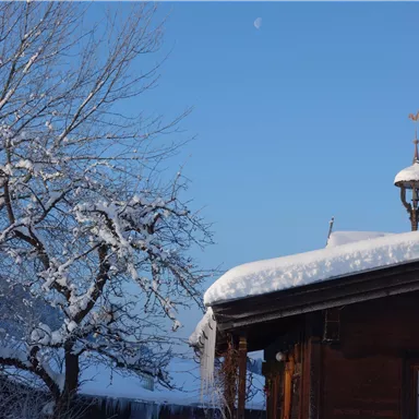A snow-covered roof of a wooden house stands against a clear, blue sky. In the background, a tree with snow-white branches can be seen.
