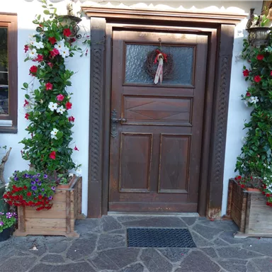 A pretty entrance door surrounded by blooming plants. On both sides, there are flower boxes with colorful flowers.