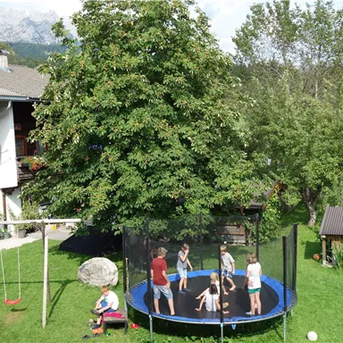 A garden with a large trampoline where children are jumping. In the background, playground equipment and a big house are visible, surrounded by trees.