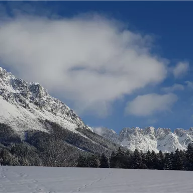 Snow-covered mountains under a clear blue sky. In the foreground, a white, wintry landscape stretches out.