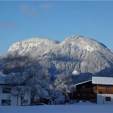 A winter landscape with snow-covered mountains and a clear blue sky. In the foreground, some houses surrounded by snow can be seen.