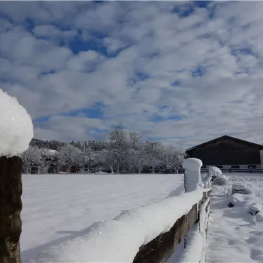 A winter landscape with plenty of snow and a clear sky. In the background, there are some buildings and snow-covered trees.