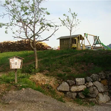 Ein kleiner Spielplatz mit einer Schaukel und einem Spielhaus auf einer Wiese. Im Hintergrund sind Holzstapel und einige Bäume zu sehen.