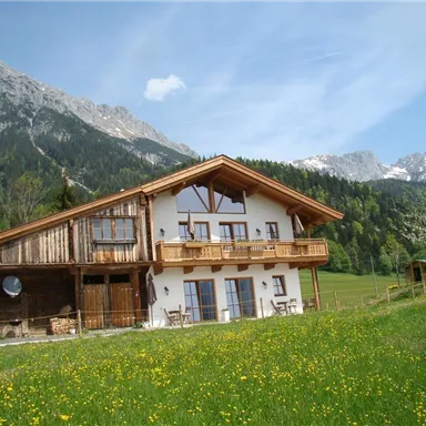 Ein charmantes Holzhaus in den Bergen, umgeben von einer grünen Wiese und schneebedeckten Gipfeln. Der Himmel ist klar mit wenigen Wolken.