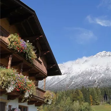 Ein charmantes altes Holzhaus mit blühenden Balkonen. Im Hintergrund sind schneebedeckte Berge und ein klarer blauer Himmel zu sehen.
