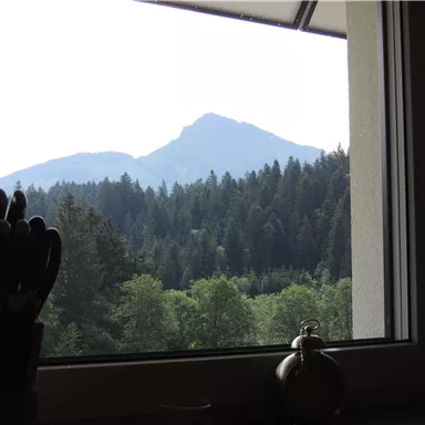 Blick aus dem Fenster auf majestätische Berge und dichte Wälder. Die Szenerie wirkt friedlich und naturnah.