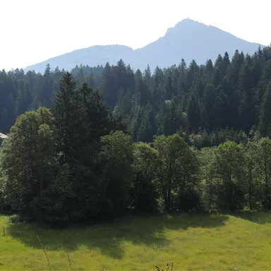 Eine malerische Landschaft mit dichten Wäldern und sanften Hügeln. Im Hintergrund ragt ein hoher Berg in den klaren Himmel.