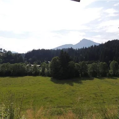 Eine grüne Wiese umgeben von Bäumen und Bergen. Der Himmel ist klar und die Landschaft wirkt friedlich.