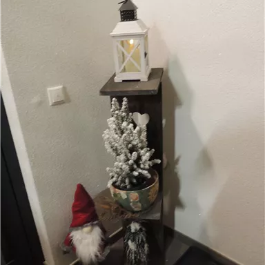 Eine gemütliche Ecke mit einem Holzregal, auf dem eine Laterne und eine Pflanze stehen. Ein kleiner Weihnachtsgnome verleiht der Dekoration eine festliche Note.
