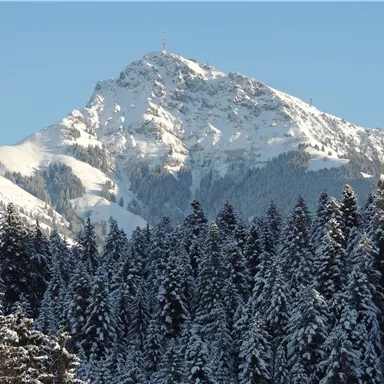 Ein beeindruckender schneebedeckter Berg, umgeben von tiefgrünen Nadelbäumen. Der klare Himmel hebt die majestätische Spitze des Berges hervor.