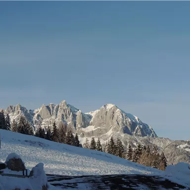 Eine schneebedeckte Berglandschaft unter einem klaren blauen Himmel. Fichtebäume umgeben die majestätischen Berge im Hintergrund.
