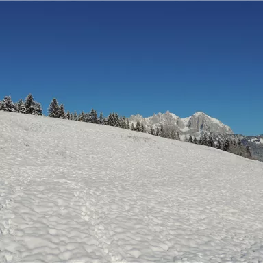 Eine verschneite Landschaft unter einem strahlend blauen Himmel. Im Hintergrund sind schneebedeckte Berge und vereiste Bäume zu sehen.