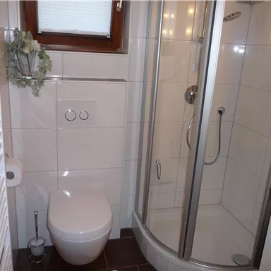 A modern bathroom with a shower and a toilet. The walls are tiled and there is a window for natural light.