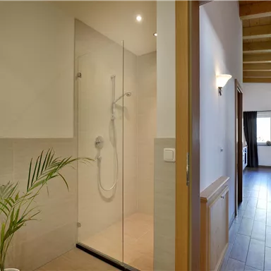 Ein modernes Badezimmer mit einer gläsernen Dusche und einer Pflanze. Im Hintergrund sieht man einen Flur mit Zugang zu einem Wohnbereich.
