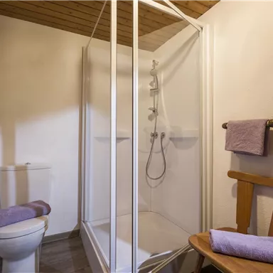 Ein schlichtes Badezimmer mit einer Duschkabine und einem WC. Neben der Dusche befindet sich ein Holzstuhl und zwei Handtücher in lila Farbe.