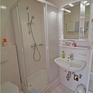 Ein kleines, modernes Badezimmer mit einer Duschkabine, einem Waschbecken und einem WC. Der Boden ist mit einem Teppich mit Schmetterlingen dekoriert.