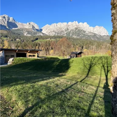 A picturesque landscape with majestic mountains in the background and a clear blue sky. In the foreground, there are green meadows and some traditional buildings.