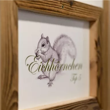 A drawing of a squirrel in a wooden frame. Below it is the text "Squirrel".
