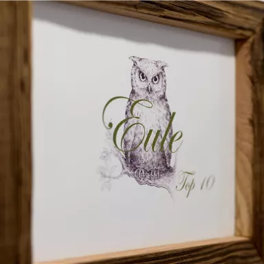 A framed picture of an owl with the text "Owl Top 10". The owl is depicted in a detailed, artistic style.