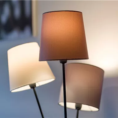 Three floor lamps with different lamp shades stand together. The colors of the shades are light and dark, creating a decorative accent.