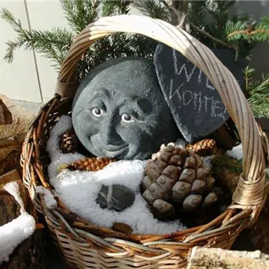 Ein Korb mit einem freundlich lächelnden Stein und einer Tafel, die "Willkommen" sagt. Um den Korb liegen Tannenzapfen und etwas Schnee.