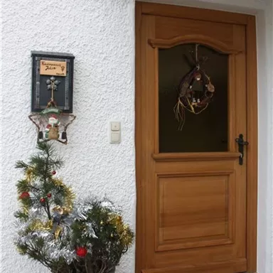 Eine geschmückte Eingangstür aus Holz mit einem Kranz. Neben der Tür steht ein kleiner Weihnachtsbaum in einem Topf.