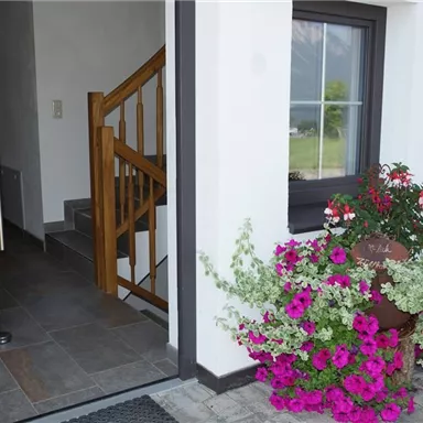 An inviting front door with a staircase and colorful flowers in a pot. The surroundings are bright and friendly.