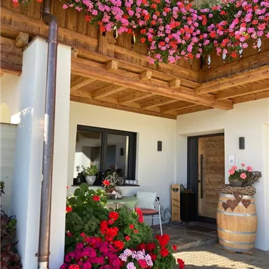 Ein einladender Eingangsbereich mit bunten Blumen in Töpfen und einer Holzveranda. Die Fassade ist hell, mit einer schönen Tür und sorgfältig gestaltetem Dekor.