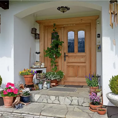 Eine einladende Haustür mit Holzgestaltung und großen Fenstern. Der Eingang ist mit verschiedenen Pflanzen und Blumen in Töpfen geschmückt.